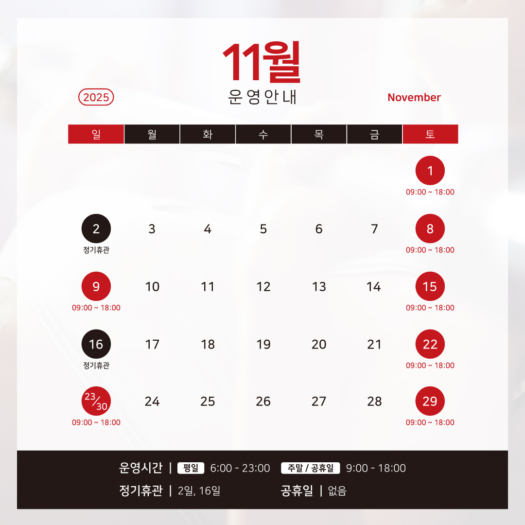 11월 운영 안내